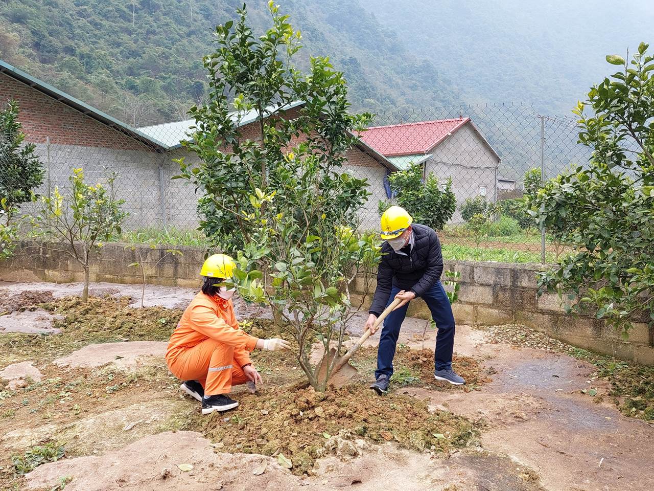 Lễ phát động tết trồng cây Xuân Nhâm Dần năm 2022 tại Xí nghiệp Dịch vụ Điện lực Cao Bằng